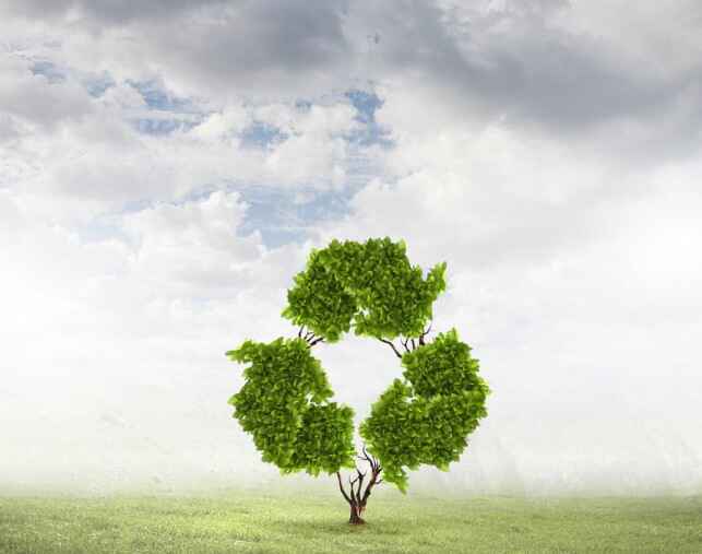 Recycle Tree Recycle Tree